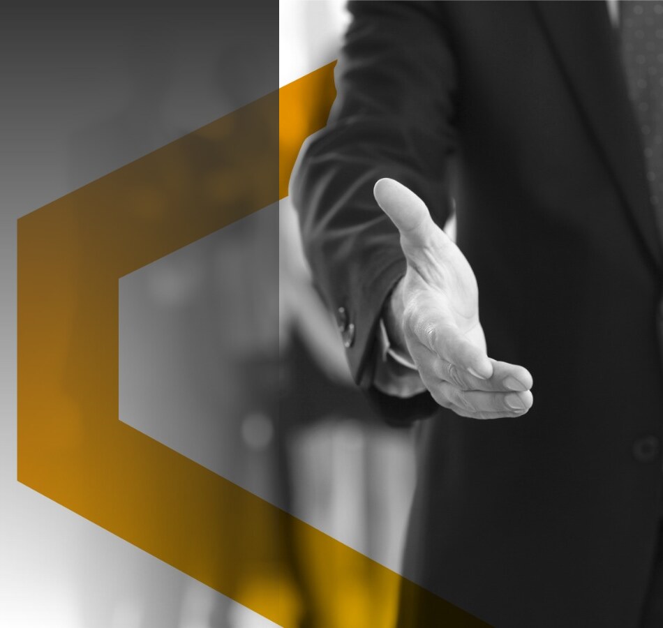Equipo Securing Consultores